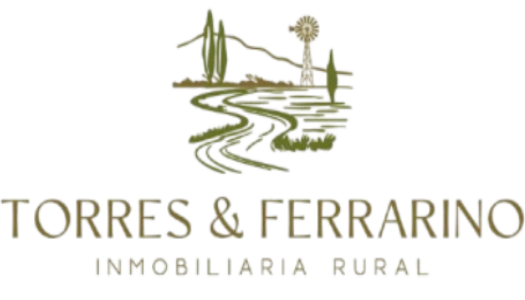 Agustin Lagorio Propiedades logo